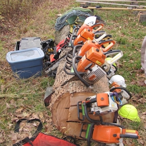 Gainesville tree service equipment
